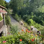 Casa Guardamino - Naturaleza Сasa de vacaciones