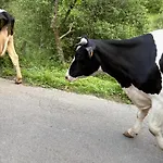 Сasa de vacaciones Casa Guardamino - Naturaleza