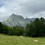 Сasa de vacaciones Casa Guardamino - Naturaleza