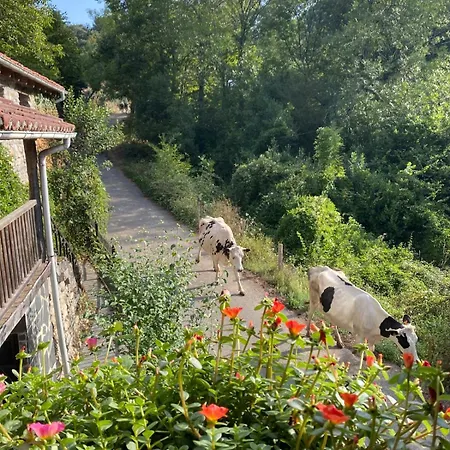 Casa Guardamino - Naturaleza Dom wakacyjny
