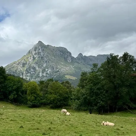 펜션 Casa Guardamino - Naturaleza