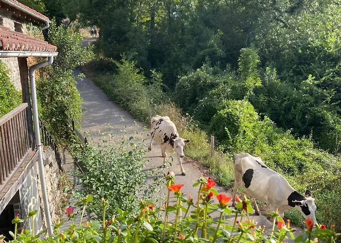 Casa Guardamino - Naturaleza Holiday home