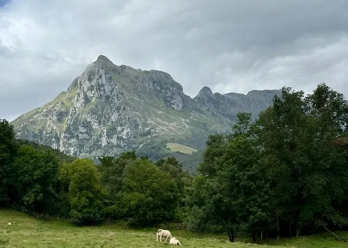 Сasa de vacaciones Casa Guardamino - Naturaleza